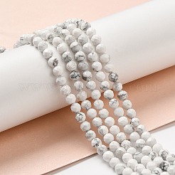 Natural Howlite Beads Strands&nbsp;G-E608-A01-C