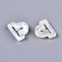 Natural White Shell Beads&nbsp;SSHEL-ZX004-02I