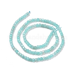 Natural Amazonite Beads Strands&nbsp;G-C009-B06