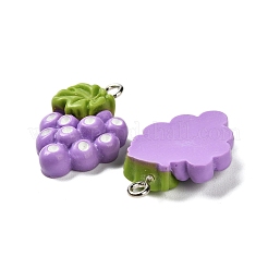 Fruit Opaque Resin Pendants&nbsp;RESI-I065-01B