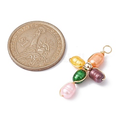 Dyed Natural Cultured Freshwater Pearl Pendants&nbsp;PALLOY-JF02230-01