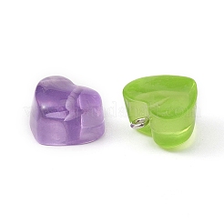 15Pcs Transparent Resin Pendants&nbsp;RESI-YW0001-45
