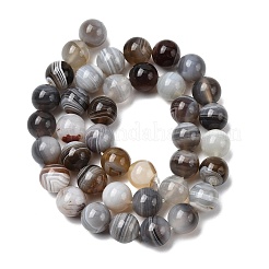 Natural Botswana Agate Beads Strands&nbsp;G-H334-A01-03