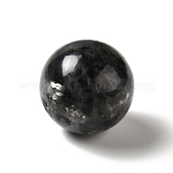 Natural Larvikite Beads&nbsp;G-A206-02-05