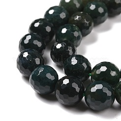 Natural Moss Agate Beads Strands&nbsp;G-E571-21C