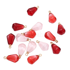15Pcs 3 Colors Resin Pendants&nbsp;RESI-CJ0001-129