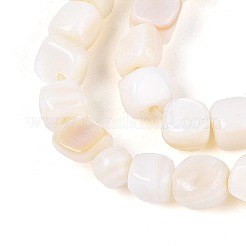 Natural Freshwater Shell Beads Strands&nbsp;BSHE-T014-51B