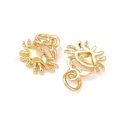 Brass Charms&nbsp;KK-G549-17C-G