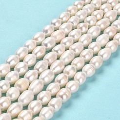 Natural Cultured Freshwater Pearl Beads Strands&nbsp;PEAR-E016-190