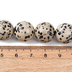 Natural Dalmatian Jasper Beads Strands&nbsp;G-A310-A05-14mm