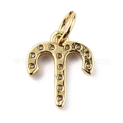 Brass Micro Pave Cubic Zirconia Charms&nbsp;ZIRC-F131-16G-10