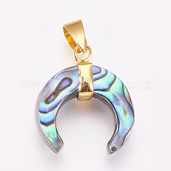 Paua Shell Pendants&nbsp;KK-G346-01B
