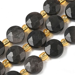Natural Silver Sheen Obsidian Beads Strands&nbsp;G-G271-C08-10mm