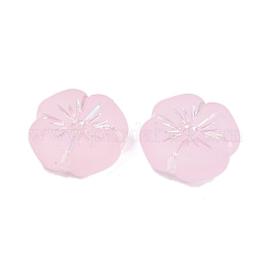 Frosted Transparent Acrylic Beads&nbsp;X1-OACR-P029-19B-05