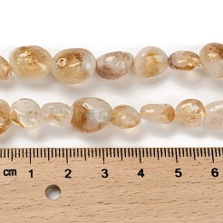 Natural Yellow Lodolite Quartz Beads Strands&nbsp;G-P497-01E-39B