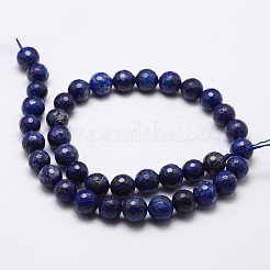 Natural Lapis Lazuli Beads Strands&nbsp;X-G-D840-38-8mm