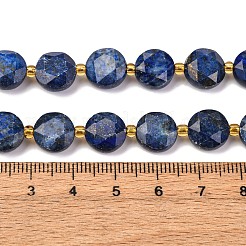 Natural Lapis Lazuli Beads Strands&nbsp;G-C116-A110-01