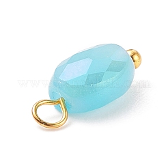 Electroplate Glass Pendants&nbsp;PALLOY-JF01541-01