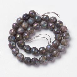 Natural Labradorite Beads Strands&nbsp;G-J376-49-6mm