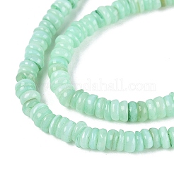 Natural Freshwater Shell Beads Strands&nbsp;SHEL-Q028-01F