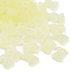 Frosted Transparent Acrylic Beads&nbsp;OACR-P029-20B-03