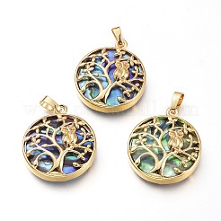 Natural Abalone Shell/Paua Shell Pendants&nbsp;BSHE-I014-G