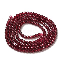 Natural Garnet Beads Strands&nbsp;G-B090-A20-03