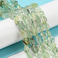 Natural Prehnite Beads Strands&nbsp;G-P497-01A-09