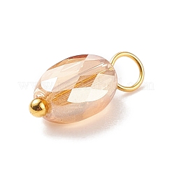 Electroplate Glass Pendants&nbsp;PALLOY-JF01541-02