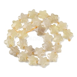 Natural Lemon Quartz(Heated) Beads Strands&nbsp;G-P573-C12-01