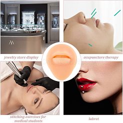 Soft Silicone Mouth Flexible Model Body Part Displays with Acrylic Stands&nbsp;ODIS-WH0002-22