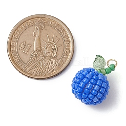 Seed Beads Beaded Pendants&nbsp;PALLOY-TA00159-04