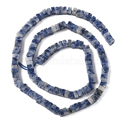 Natural Blue Spot Jasper Beads Strands&nbsp;G-A280-C06-01