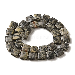 Natural Map Stone Beads Strands&nbsp;G-L596-A03-01
