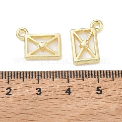 Alloy Acrylic Pendants&nbsp;FIND-D044-23G-01