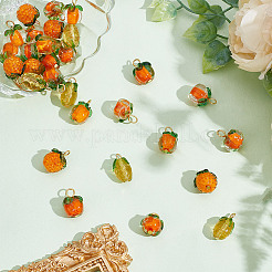30Pcs 5 Styles Glass & Lampwork Pendants&nbsp;PALLOY-AR00021