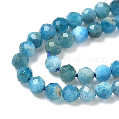 Natural Apatite Beads Strands&nbsp;LS-G-N342-34-01