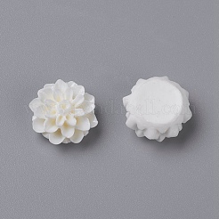 Resin Cabochons&nbsp;RB772Y-5