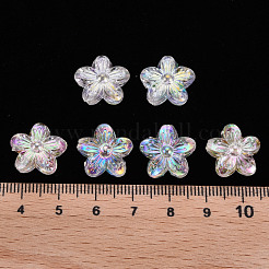 Transparent Acrylic Beads&nbsp;TACR-S154-45C-205