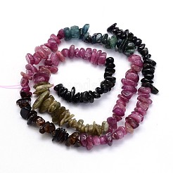 Natural Tourmaline Chips Beads Strands&nbsp;G-O049-09