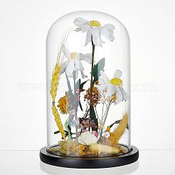 Glass Dome Cover&nbsp;AJEW-WH0001-95A