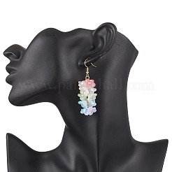 Acrylic Dangle Stud Earrings&nbsp;EJEW-TA00677