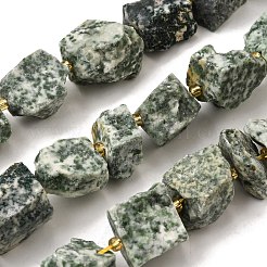Raw Rough Natural Green Spot Jasper Beads Strands&nbsp;G-Z087-B16