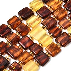 Natural Amber Beads Strands&nbsp;G-C260-A01-05