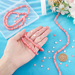 Disc Shell Beads Strands&nbsp;SSHEL-PH0002-47