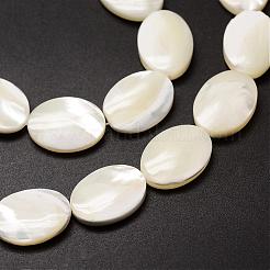 Natural Trochid Shell/Trochus Shell Beads Strands&nbsp;SSHEL-K008-05