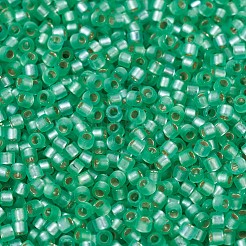 MIYUKI Delica Beads&nbsp;SEED-JP0008-DB0691