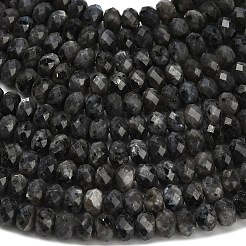 Natural Larvikite Beads Strands&nbsp;G-Z111-A42