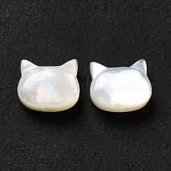Natural White Shell Beads&nbsp;SHEL-G014-10B-01