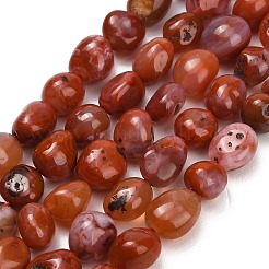 Natural Red Agate(Dyed & Heated) Beads Strands&nbsp;G-C287-A01-01